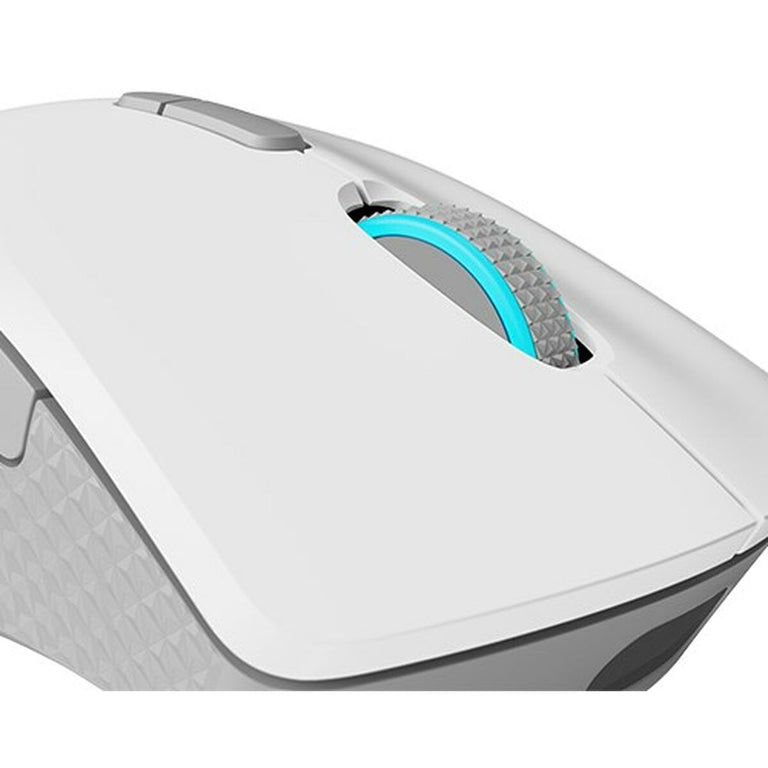 Souris Lenovo GY51C96033 Blanc