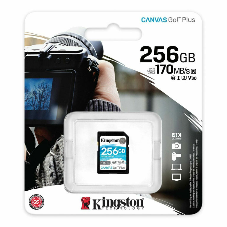 Carte Mémoire SD Kingston SDG3/256GB