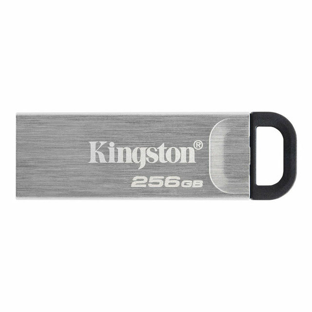 Clé USB Kingston DTKN/256GB Noir 256 GB