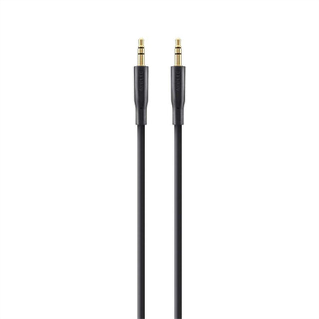 Câble Audio Jack (3,5 mm) Belkin F3Y117BT1M 1 m