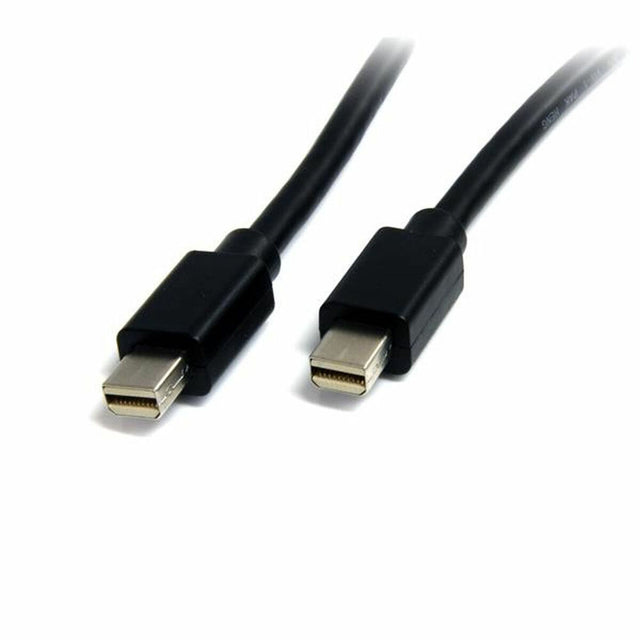 Mini câble DisplayPort Startech MDISP2M              (2 m) 4K Ultra HD Noir