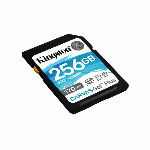 Carte Mémoire SD Kingston SDG3/256GB