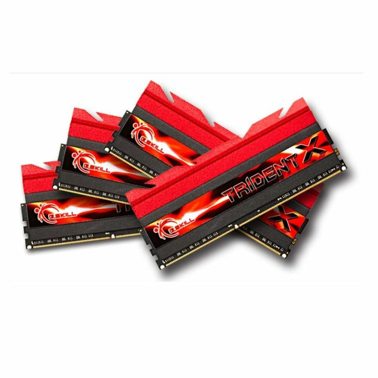 Mémoire RAM GSKILL PAMGSKDR30021 DDR3 CL10 32 GB