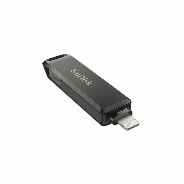 Clé USB   SanDisk SDIX70N-256G-GN6NE         Noir 256 GB