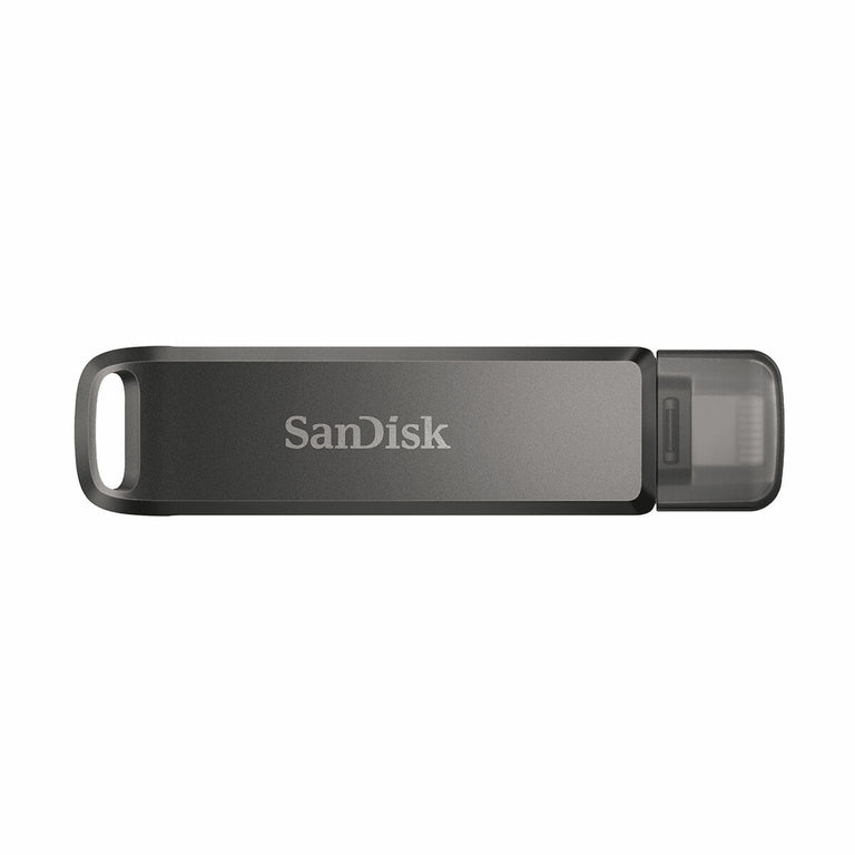 Clé USB   SanDisk SDIX70N-256G-GN6NE         Noir 256 GB