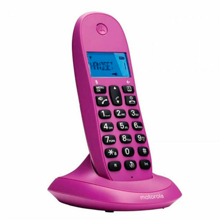 Téléphone Sans Fil Motorola C1001