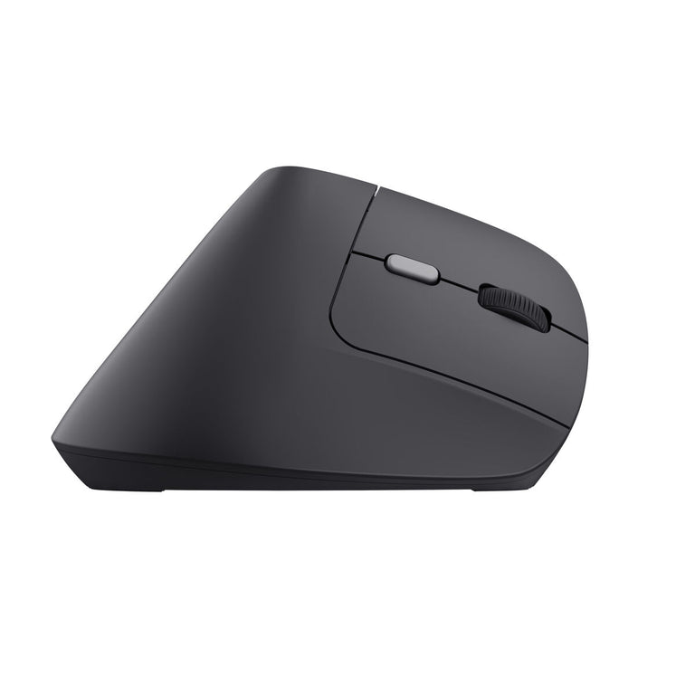 Souris Trust 25371 Noir 2400 dpi