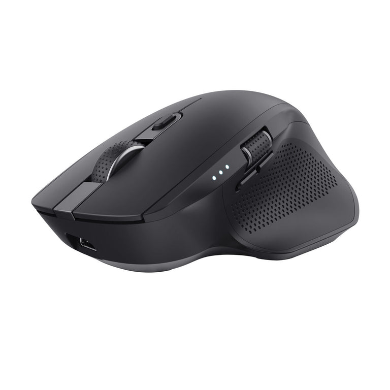 Souris Trust 24820 Noir 3200 DPI