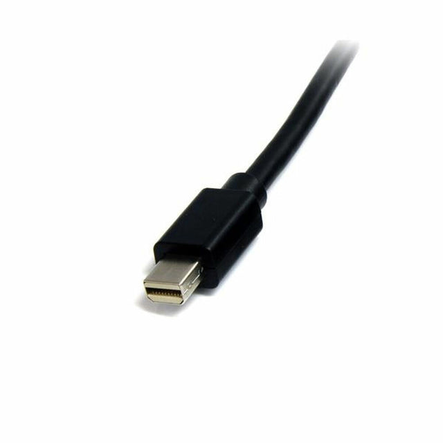 Mini câble DisplayPort Startech MDISP2M              (2 m) 4K Ultra HD Noir